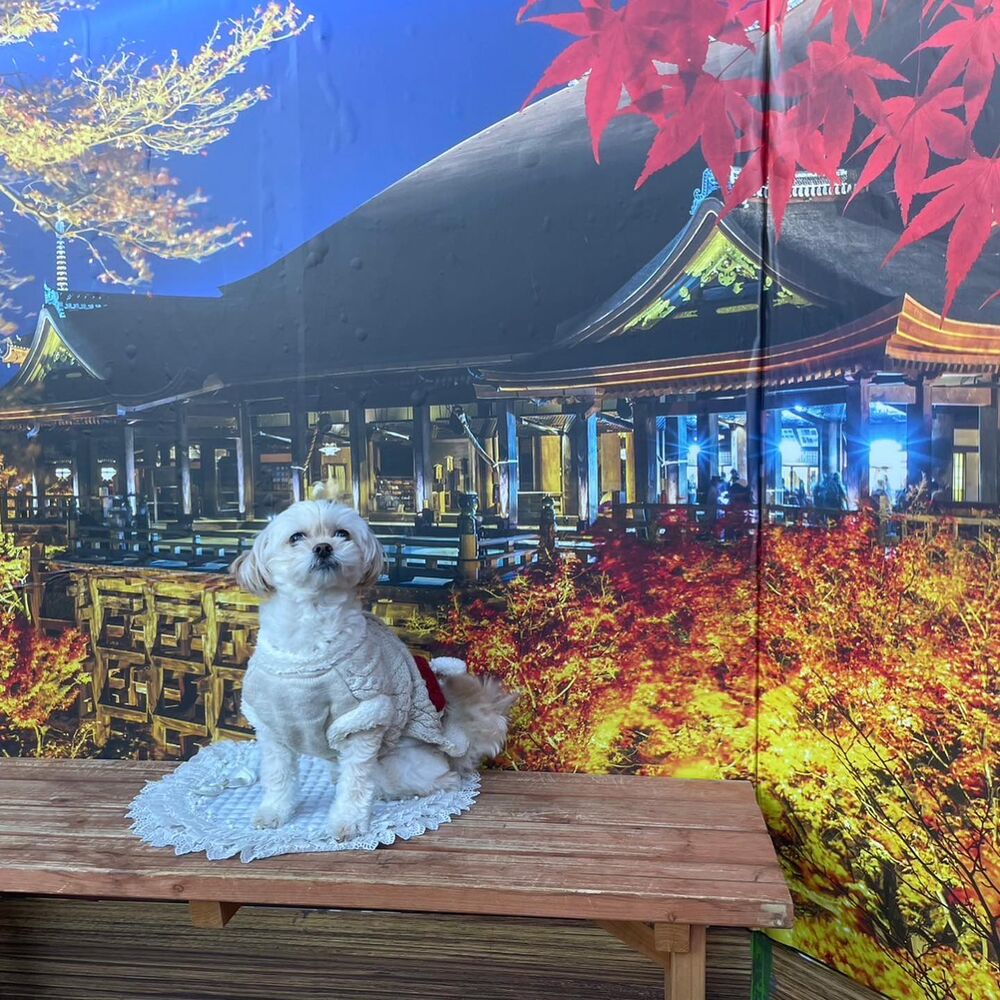画像28415