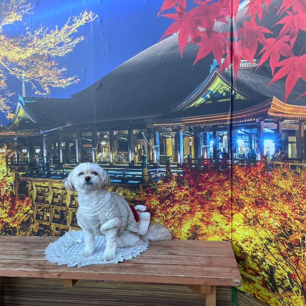 画像28416