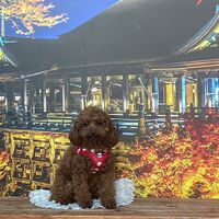 画像28472