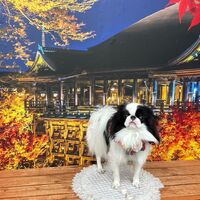 画像28491