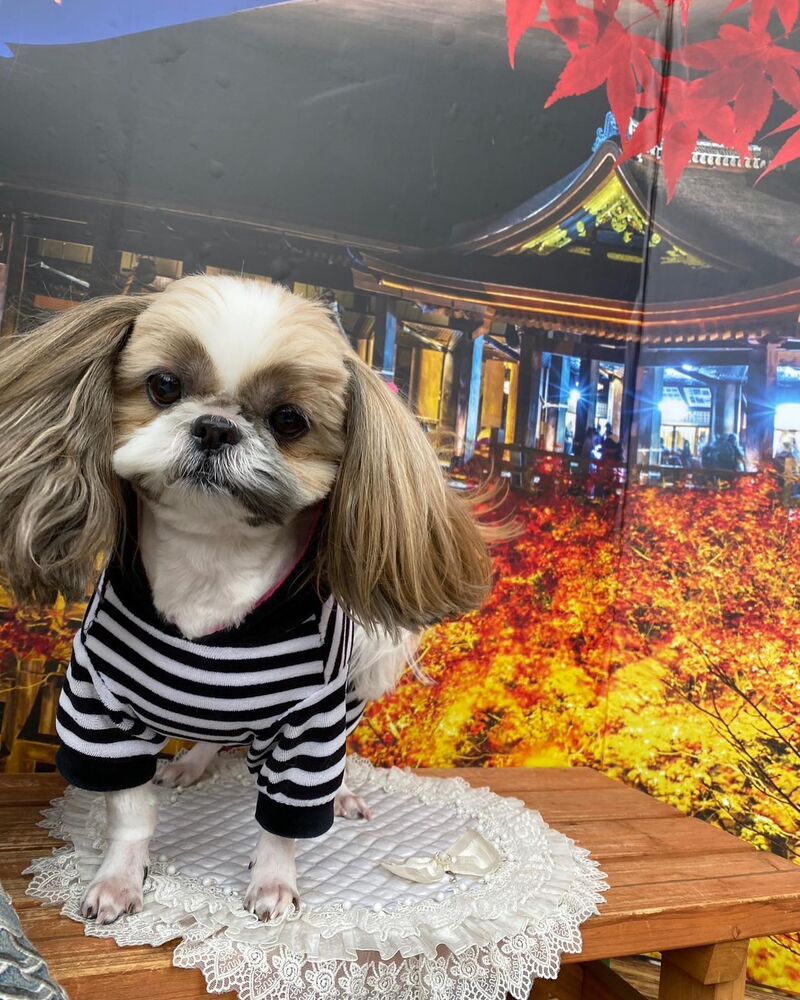 画像28500