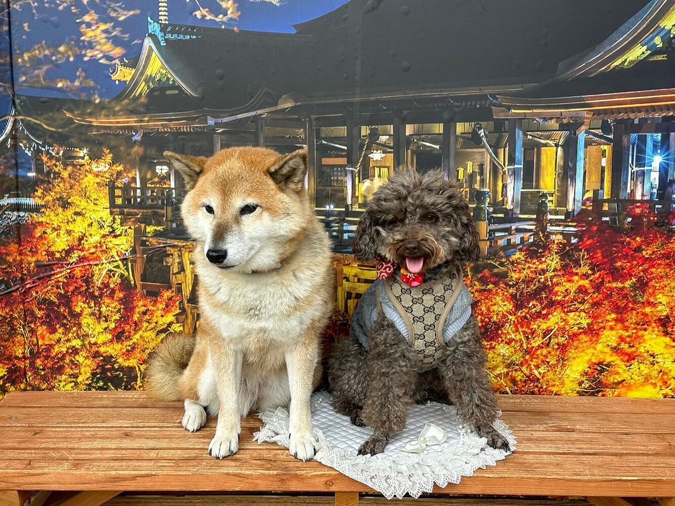 画像28510