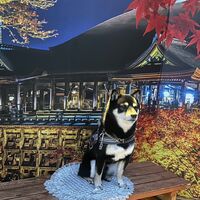 画像28540