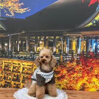 画像28576