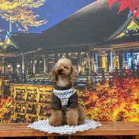 画像28579