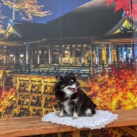 画像28586