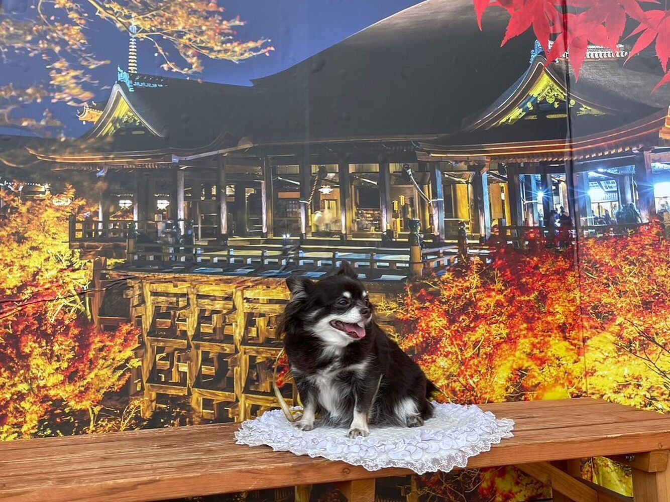 画像28586