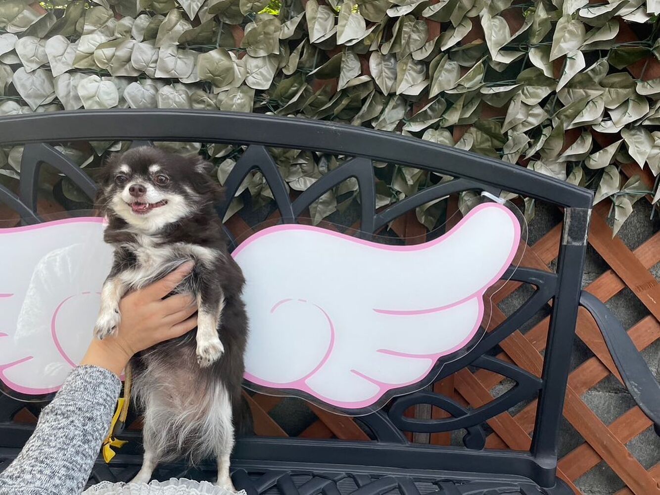 画像28587