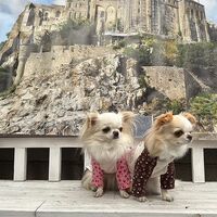 画像28596