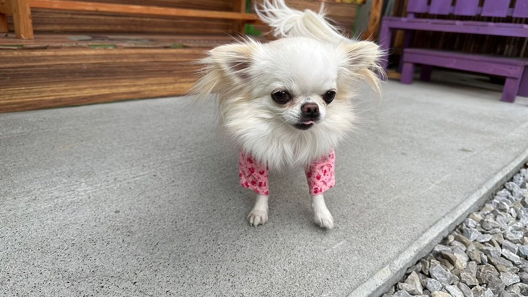 画像28598