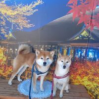 画像28651