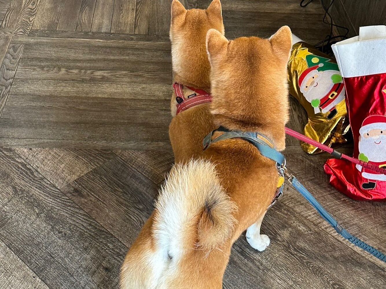 画像28652