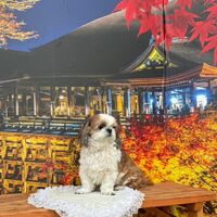 画像28668