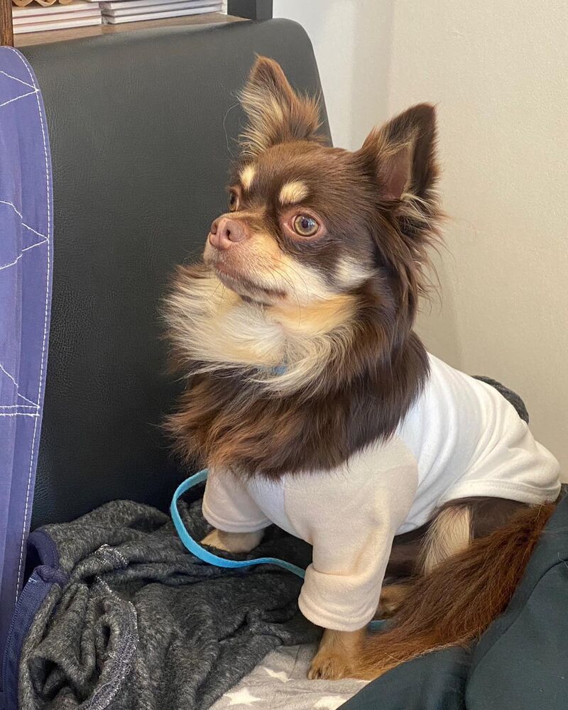 画像28677