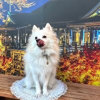 画像28681