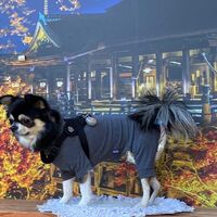 画像28756