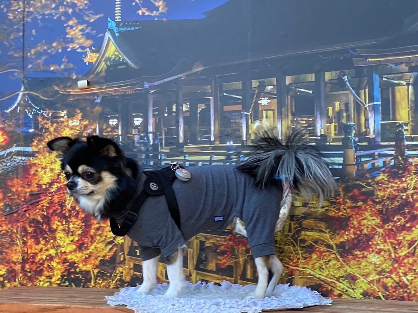画像28756