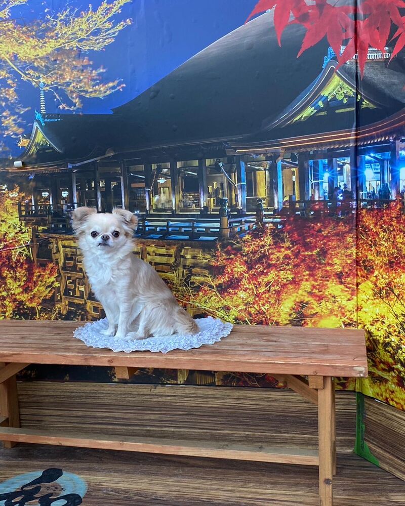 画像28784