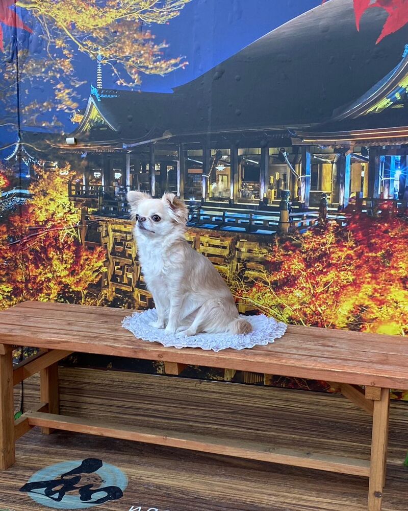 画像28785