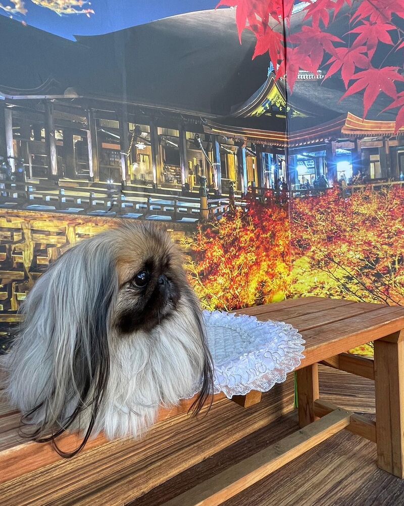 画像28792