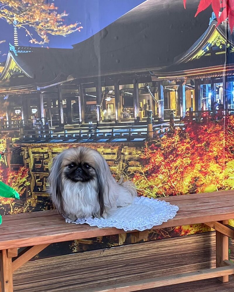 画像28793