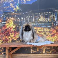 画像28794