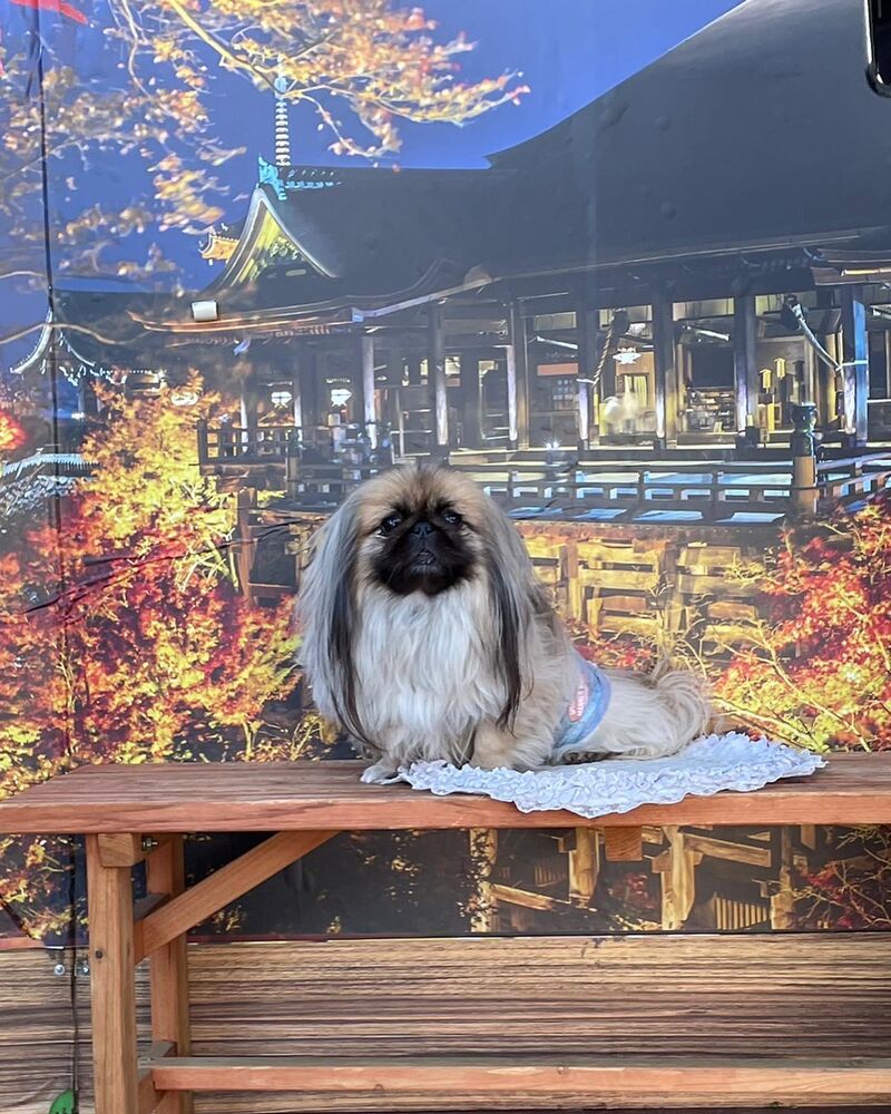 画像28794