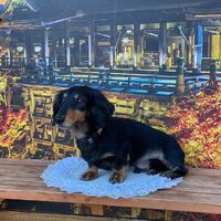 画像28836