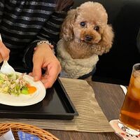 画像28870