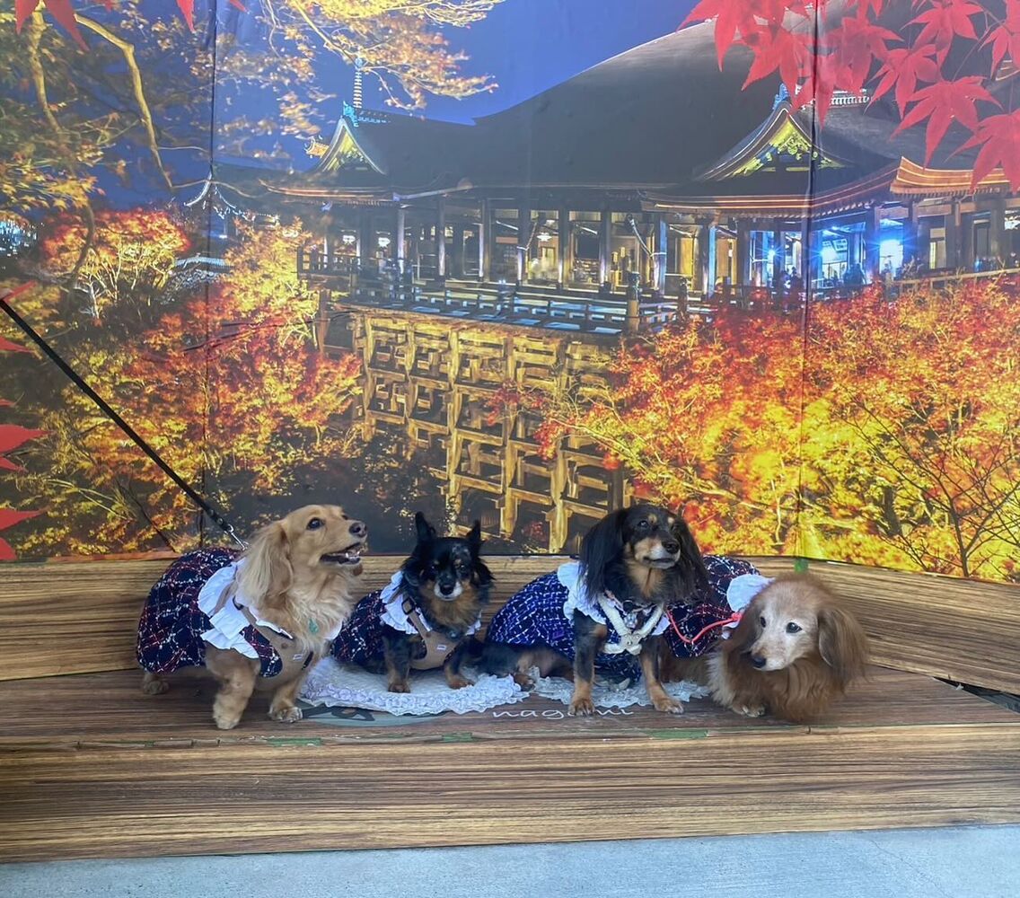 画像28893