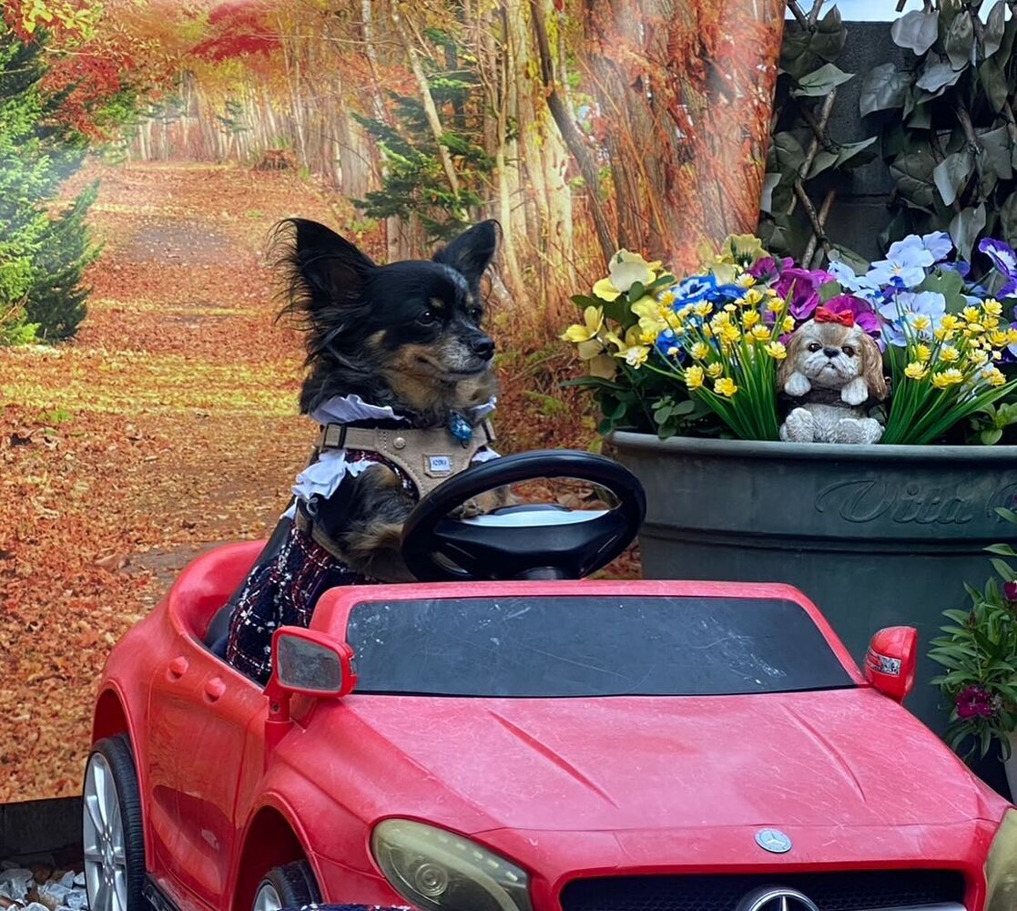画像28898