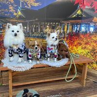 画像28919