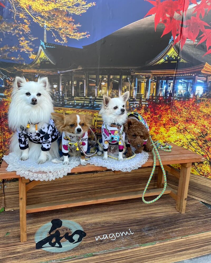 画像28919