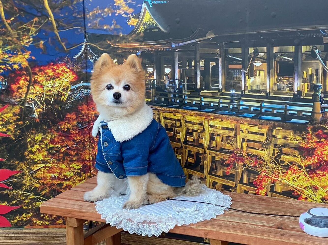 画像28921