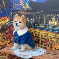 画像28922