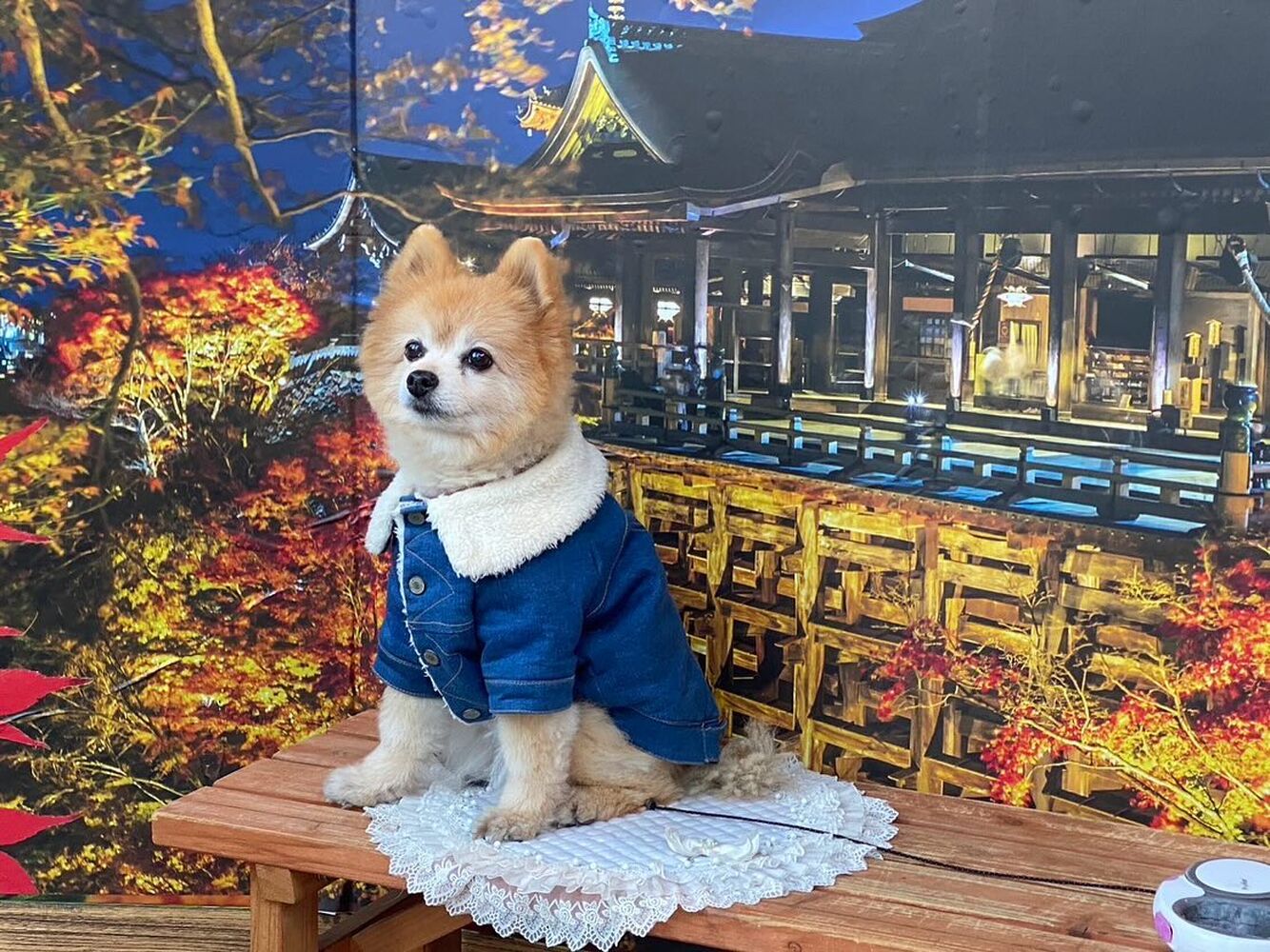 画像28922