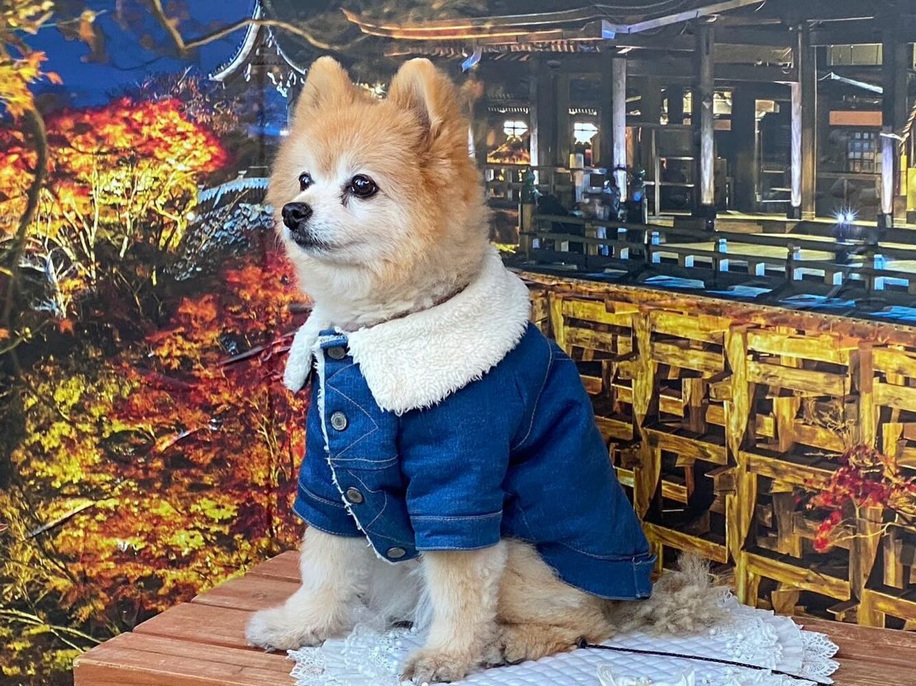 画像28923