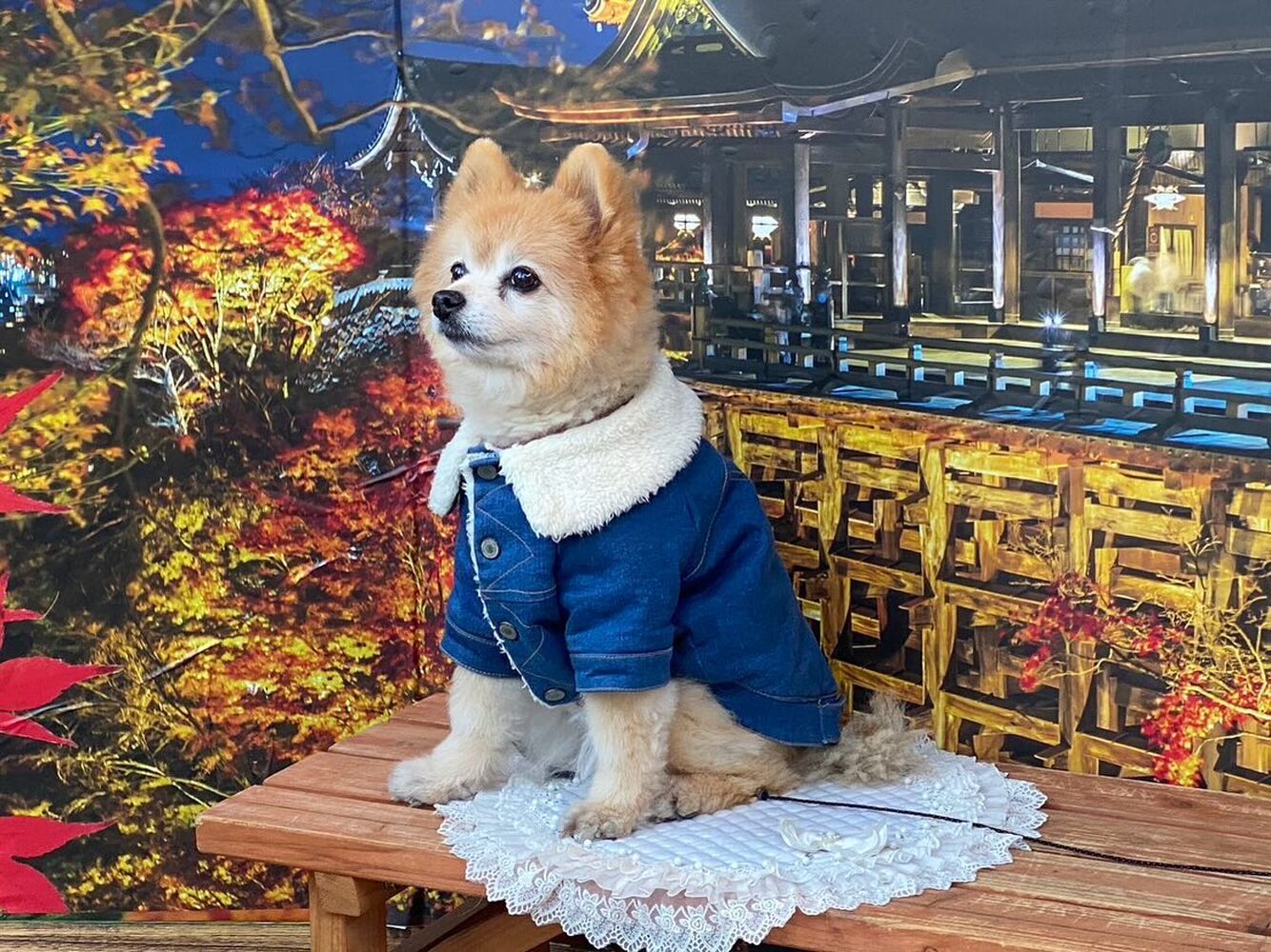 画像28924