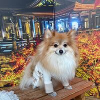 画像28933