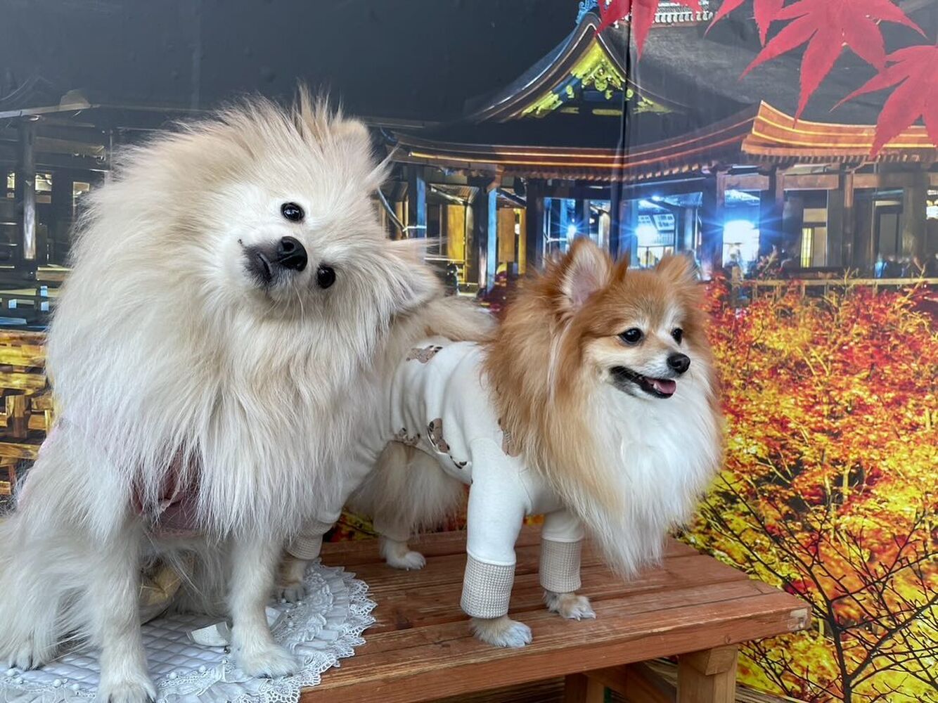 画像28935