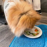 画像28939