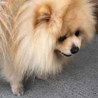 画像29090
