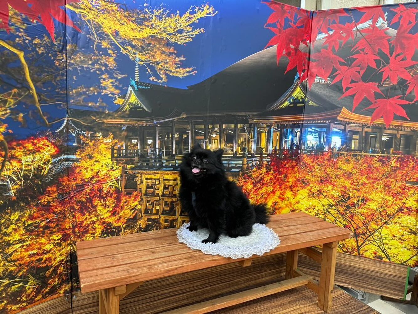 画像29109