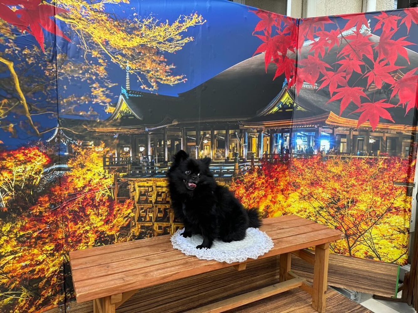 画像29110