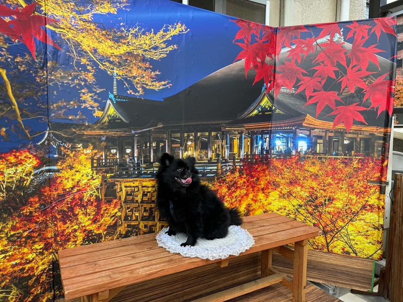 画像29111