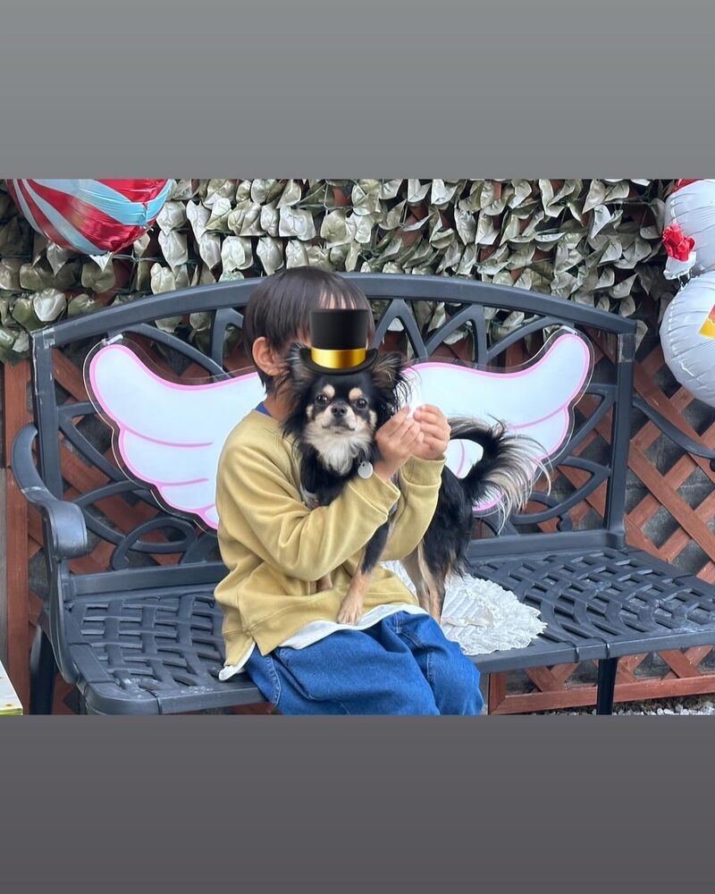 画像29132