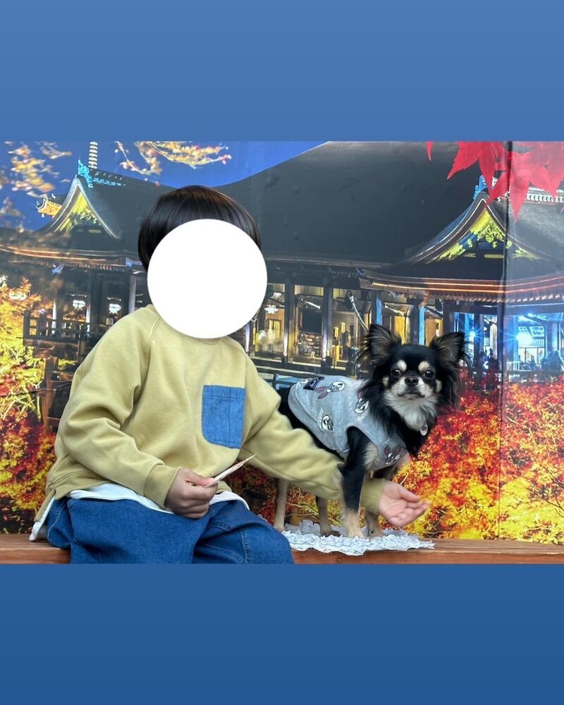 画像29133