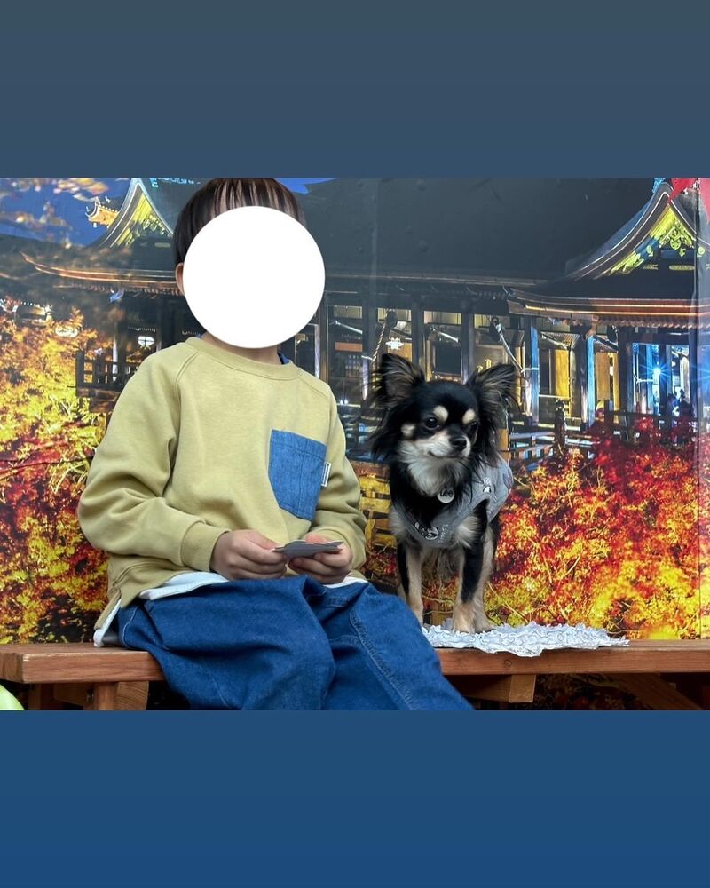 画像29134