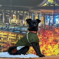 画像29179