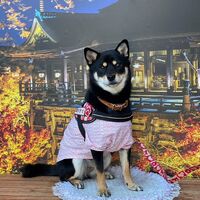 画像29189